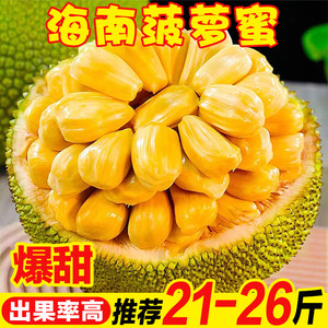 修女也疯狂 产品图片