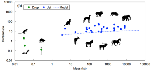 夜魔先生 相关产品
