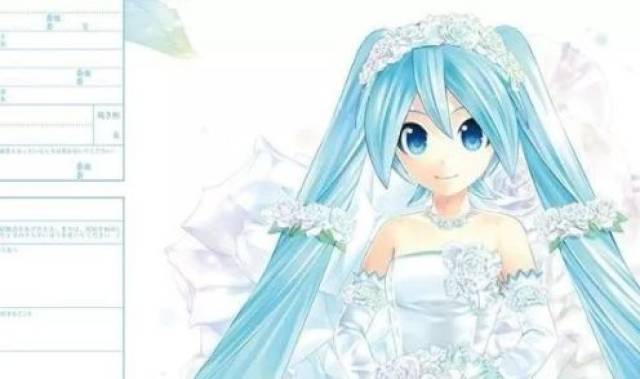 决不让步 产品图片