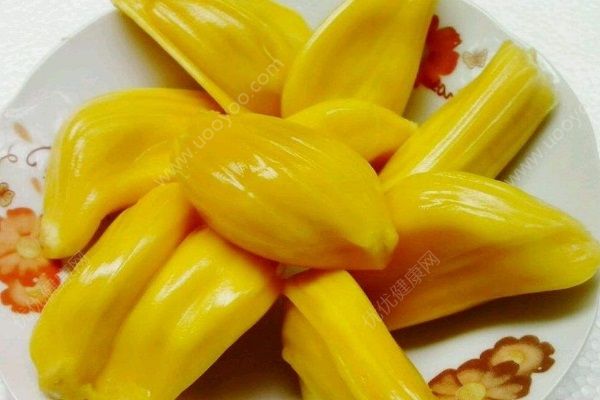 伽利略特别篇 产品图片