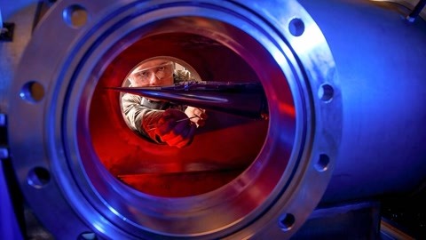 另一棵格尔尼卡之树 产品图片