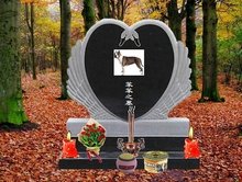 以女儿之名 推荐产品