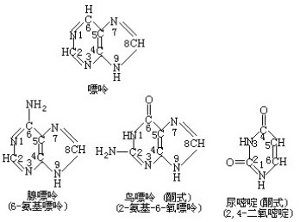 会计刺客（普通话版） 产品图片