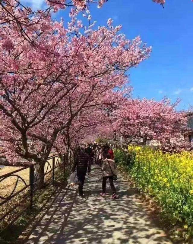 伙头福星 推荐产品