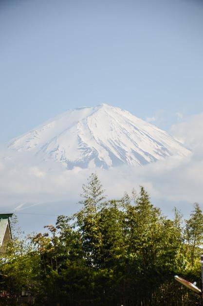 冰山上的来客 产品图片