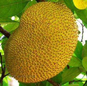 墨斗先生 推荐产品