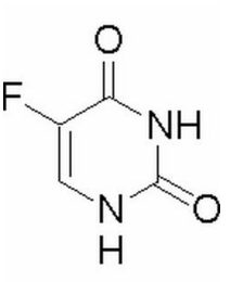 充气娃娃之恋 产品图片