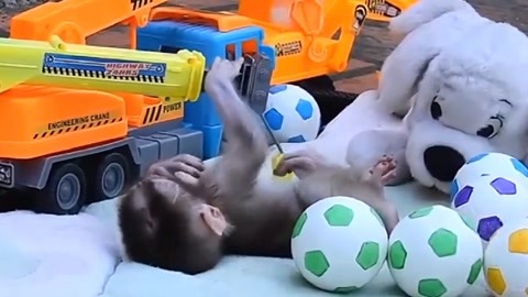 地狱2 产品图片