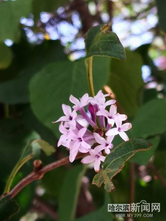 农民院士 推荐产品