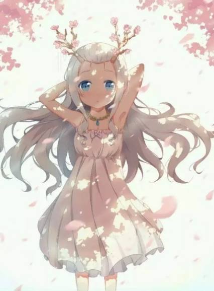 冰川鲨鱼 相关产品