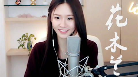 侠盗高飞（国语版）