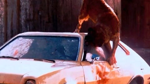 在地下城寻求邂逅是否搞错了什么：俄里翁之箭 相关产品