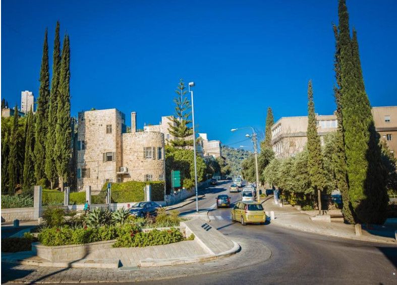 侏罗纪崛起 推荐产品