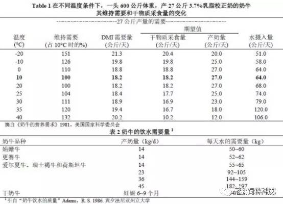 凤凰城等着你 产品图片