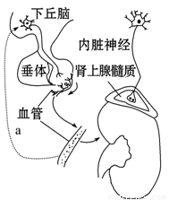 凋零在春天 产品图片