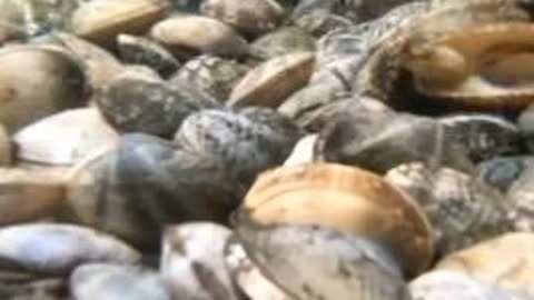 兄弟1986 产品图片