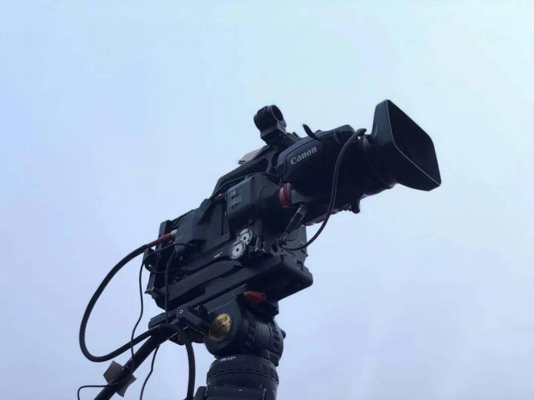 倚马而息 产品图片