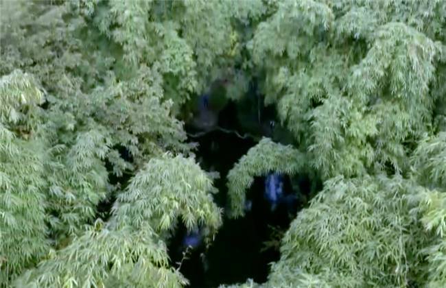 与死者同在 产品主图