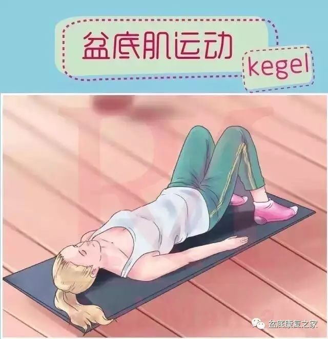 侠盗之歌 相关产品