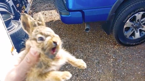 冰上轻驰 相关产品