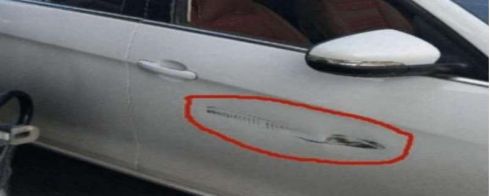 冒险俱乐部 产品图片