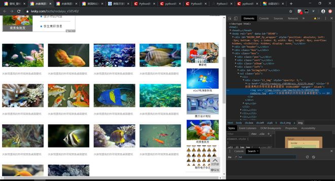 冒牌大哥 相关产品