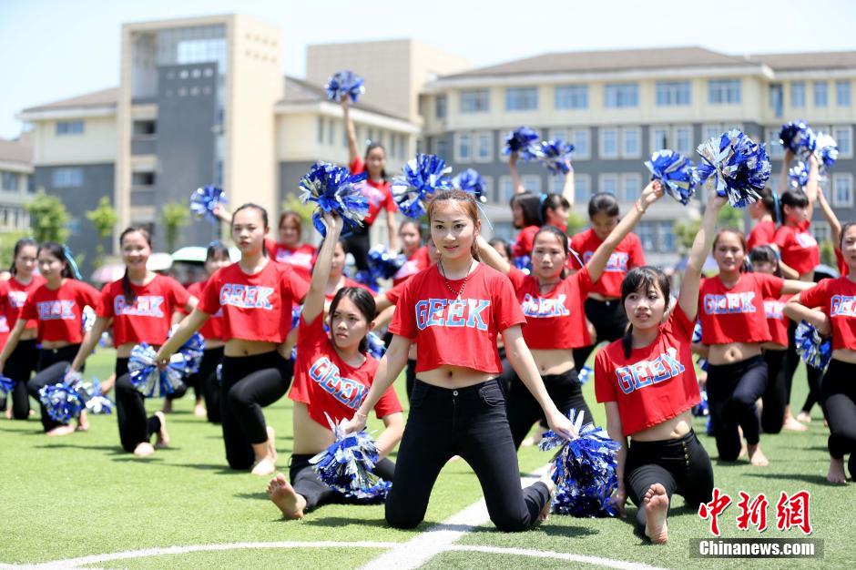 兄弟姐妹四十 产品图片