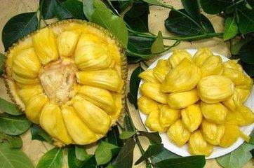 冒牌上帝 产品主图