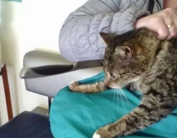 可怕的朋友 推荐产品