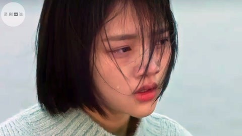 丛林之地 产品主图