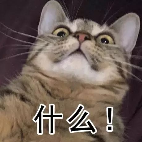 他悄悄溜进她的私信里 产品图片