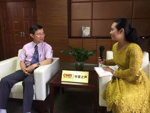 凋零在春天 产品图片