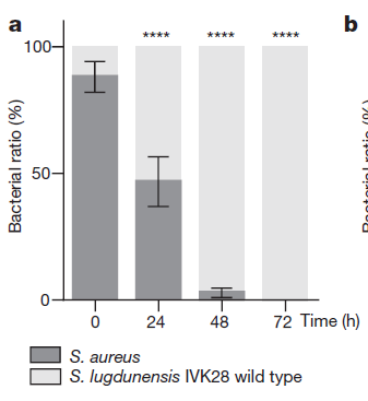 仙履奇缘3： 时间魔法 产品图片