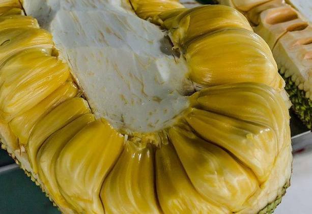 BanG Dream! 电影演唱会2 产品主图